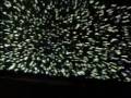 Disneyland Tomorrowland Star Tours On-Ride CLIP 2000