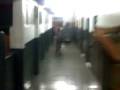 videos de BuXeXa em : ESPORTE ESPETACULAR NO TG