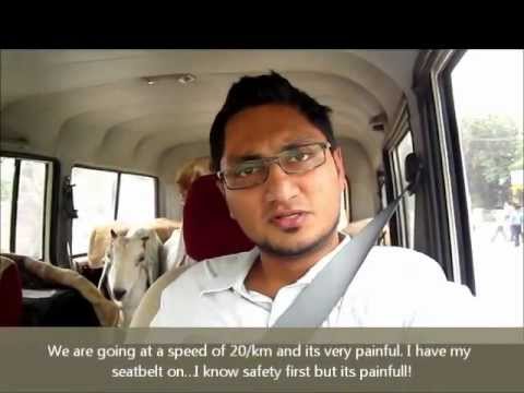 rajasthan goat farming - Here is me (Akbar K Qureshi) travelling 1200Km and 18 hours non-stop with goats in my car- From Indore to Fatehpur, Rajasthan. See how I've removed the seats...