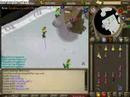 BF + LH #1 Armadyl Trip BF + LH #1 Armadyl Trip