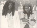 awesome reggae classic by the natural - ites...released on the album with the same name in 1985...also shows a few pics throughout there career njoy!