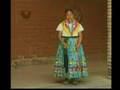 Guelaguetza Jarabe Mixteco 2007