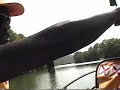 Cicadas Sing to Paddle Wheel Ferry