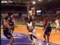 Mickael Gelabale
