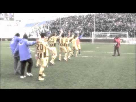 anorthosis