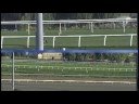 race 1 was the 1.5 mile distance race or one complete lap of the e.p. taylor turf course at woodbine racetrack. 

final standings:
1 - nick eaves (executive)
2 - tim wray (security)
3 - matt ready (security)

4 - kyle jordan (tv)
5 - zsolt kengyel (it)
6 - brett buelow (it)
7 - rene hurtado (f&b)
8 - jayson trajano (security)
9 - steve joniak (marketing)
10 - emily kwong (f&b)
11 - tito adona (finance)

scratched
dave catsimbras (parking)
eurico rosa da silva (jockey)

monies raised helped support united way toronto.
�2008 woodbine entertainment group.