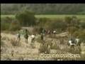Chile - Recorrido a Lambert con Ciclontour - Junio 2008
