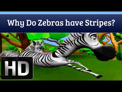 how to help zebras