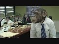 Nyt job 2 ( Job With monkeys) Nyt job 2 ( Job With monkeys)
