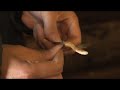 We demonstrate how we bud and graft apple trees.