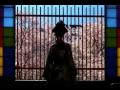  - MovieZen Video