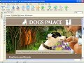 How to create a free website using a html editor Video 2