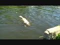 Let`s go swimming