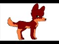 wolves up for adoption