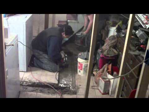 giomog - 