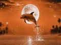 una noche con luna llena te estoy buscando para verte...
??? ????? ?? ????????? ?????? ?? ?? ??...