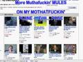 Undocumented Youtube Spyware?