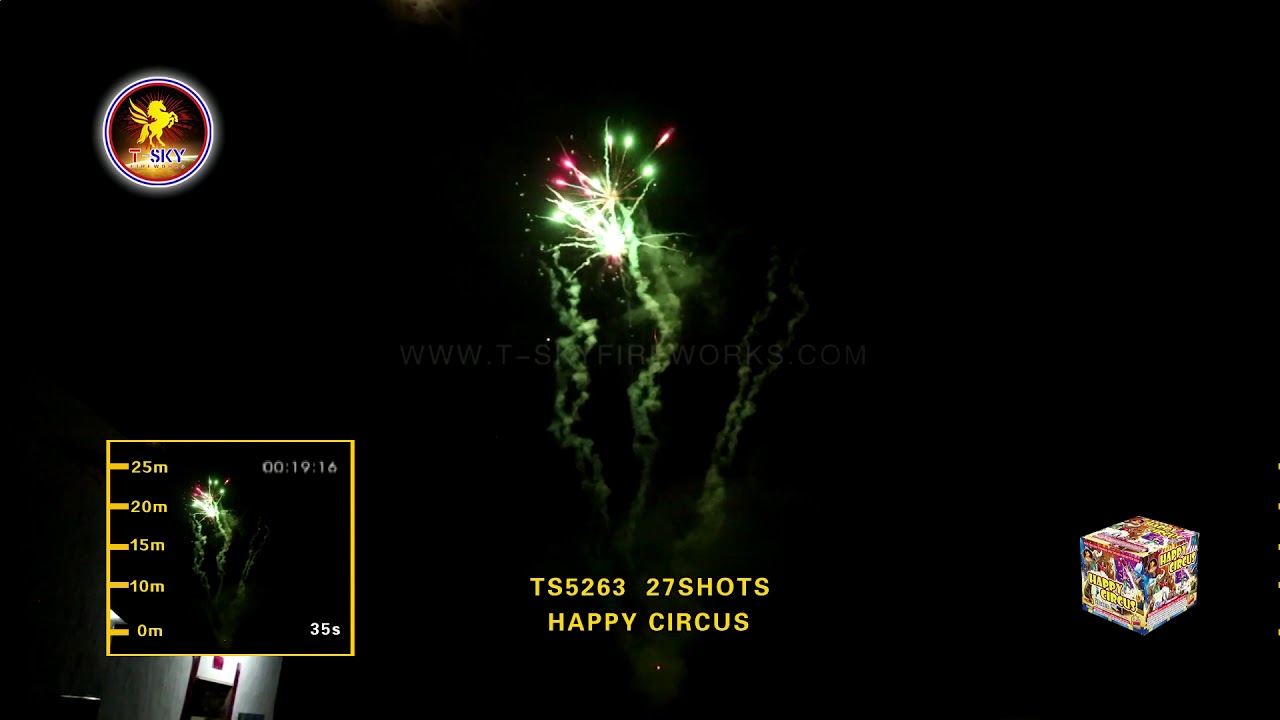 TS5263 Happy Circus