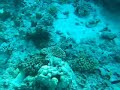 Hurghada  Egypt Scuba Diving