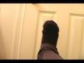  - MovieZen Video