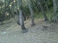 Partcherosa Part 2