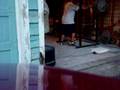 500 reverse band low box squat..beltless