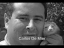 ferret comunity comunidad de hurones aniersario