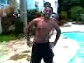 El pecos�n dominicano