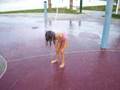Cyn-Water-Park-2