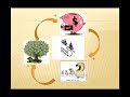 Causal Loop Diagrams