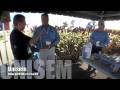 ExpoAgro TV 2008 Metaliser Unisem 