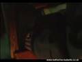 Ginger Snaps - AFI