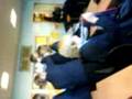 videos de random times....