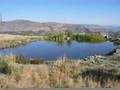 The Ephemeral or Vernal Pond