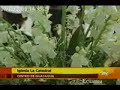 Dr. Blasco Peñaherrera Padilla discurso en el sepelío de León Febres Cordero (Segunda Intervención) Dr. Blasco Peñaherrera Padilla discurso en el sepelío de León Febres Cordero (Segunda Intervención)