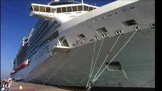 Celebrity Silhouette