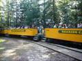 Roaring Camp & Big Trees RR #1 steam train (USA) 2007