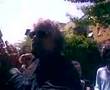 Beppe Grillo risponde agli studenti di Ancona 1/2