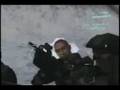 Halo 3 Multiple Secret Marines