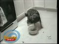 bardzo smieszne wypadki naprawdę