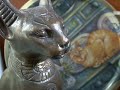 Cats at CAT ique -  J. S. Bach BWV 1007 Cello Prelude
