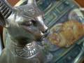 Cats at CAT ique -  J. S. Bach BWV 1007 Cello Prelude