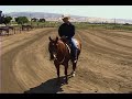 03 Dennis Bright & Reining Horses: Lead Changes 03 Dennis Bright & Reining Horses: Lead Changes