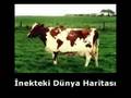 ibreti Alem g�r�nt�ler Allahtan korkun