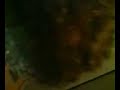 Niggy Loves Bananas And Kunks Mom