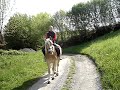 REITERIN auf HAFLINGER REITERIN auf HAFLINGER