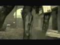 Metal Gear Solid 4 : Assassin's Creed april fool's