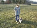 Catahoula leopardí pes poslušnost pro začatečniky