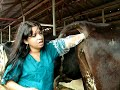 Inseminacion