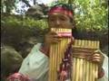 Wayanay Inka   PASTORCITA  (sicuri)
